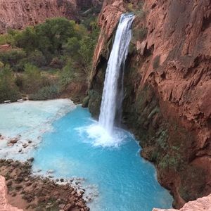 Meet your Posher, Liz